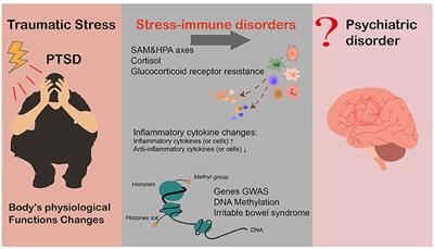 The Relationship Between Inflammation and Post-traumatic Stress Disorder